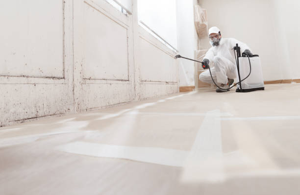 24/7 Emergency Mold Removal experts in Hoffman Estates, IL
