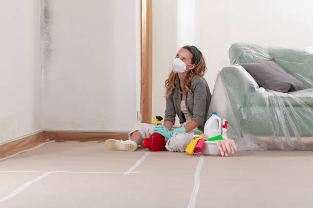 Reliable Mold Removal contractor in Hoffman Estates, IL by Mold Remediation HQ